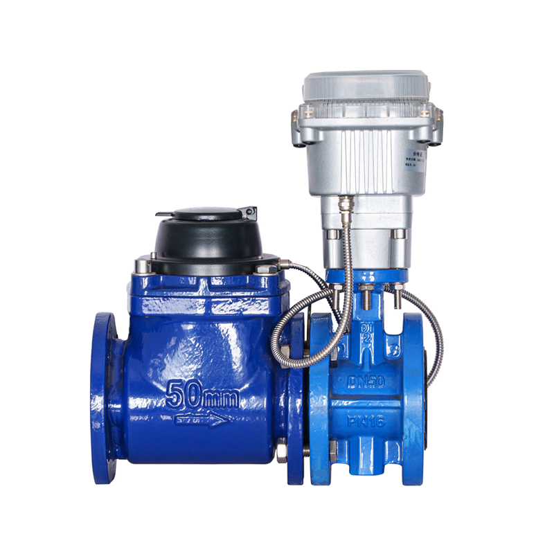 WPH DN50-DN200 Horizontale afneembare schroefvleugelklepgestuurde watermeter (met gestapelde klep)