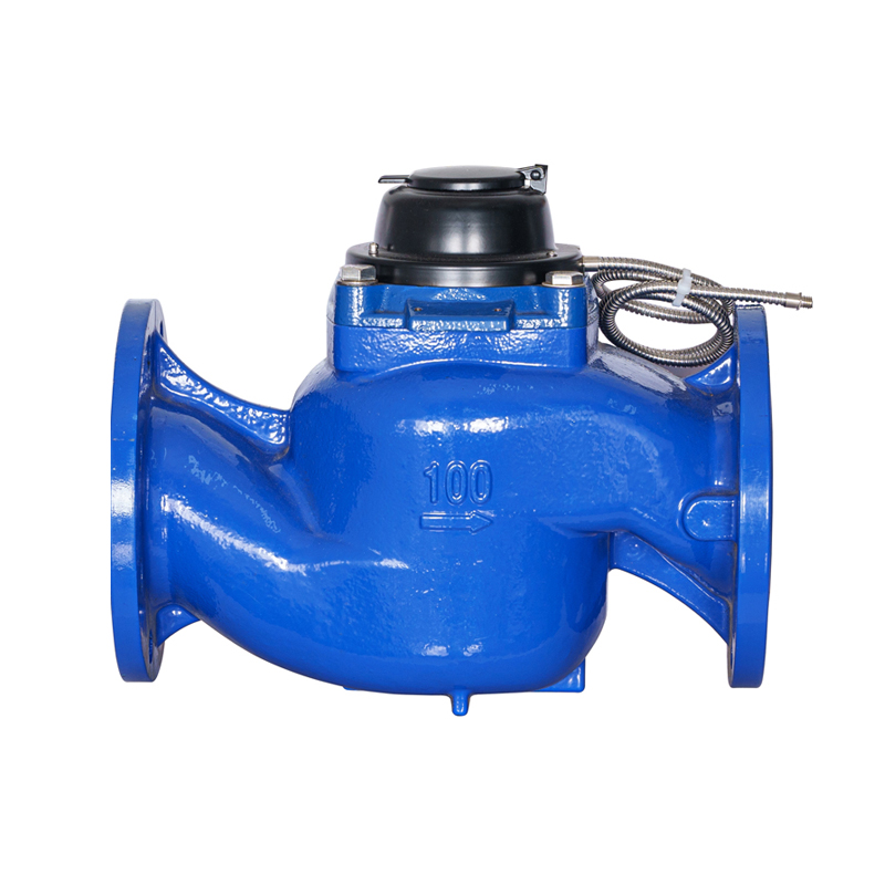 WS-DN40-DN200 Zeer nauwkeurige verticale schroefvleugel Afneembare foto-elektrische direct afleesbare watermeter WS-DN40-DN200 Zeer nauwkeurige verticale schroefvleugel Afneembare foto-elektrische direct afleesbare watermeter