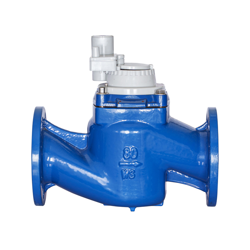 WS-DN40-DN200 Zeer nauwkeurige verticale schroefvleugel Afneembare niet-magnetische geïntegreerde watermeter WS-DN40-DN200 Zeer nauwkeurige verticale schroefvleugel Afneembare niet-magnetische geïntegreerde watermeter